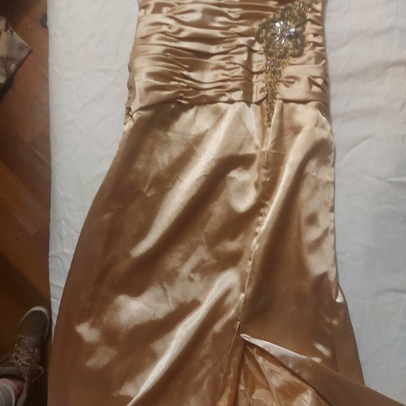 Stunning Retro Champagne Silk Dress - Picture 7 of 8